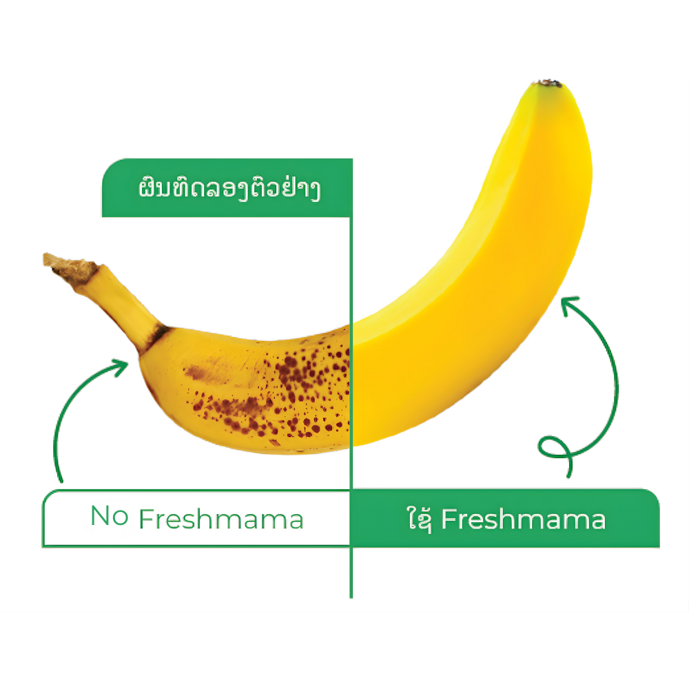 Banana comparison - with and without Freshmama